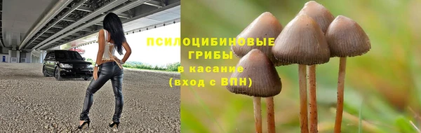 каннабис Балахна
